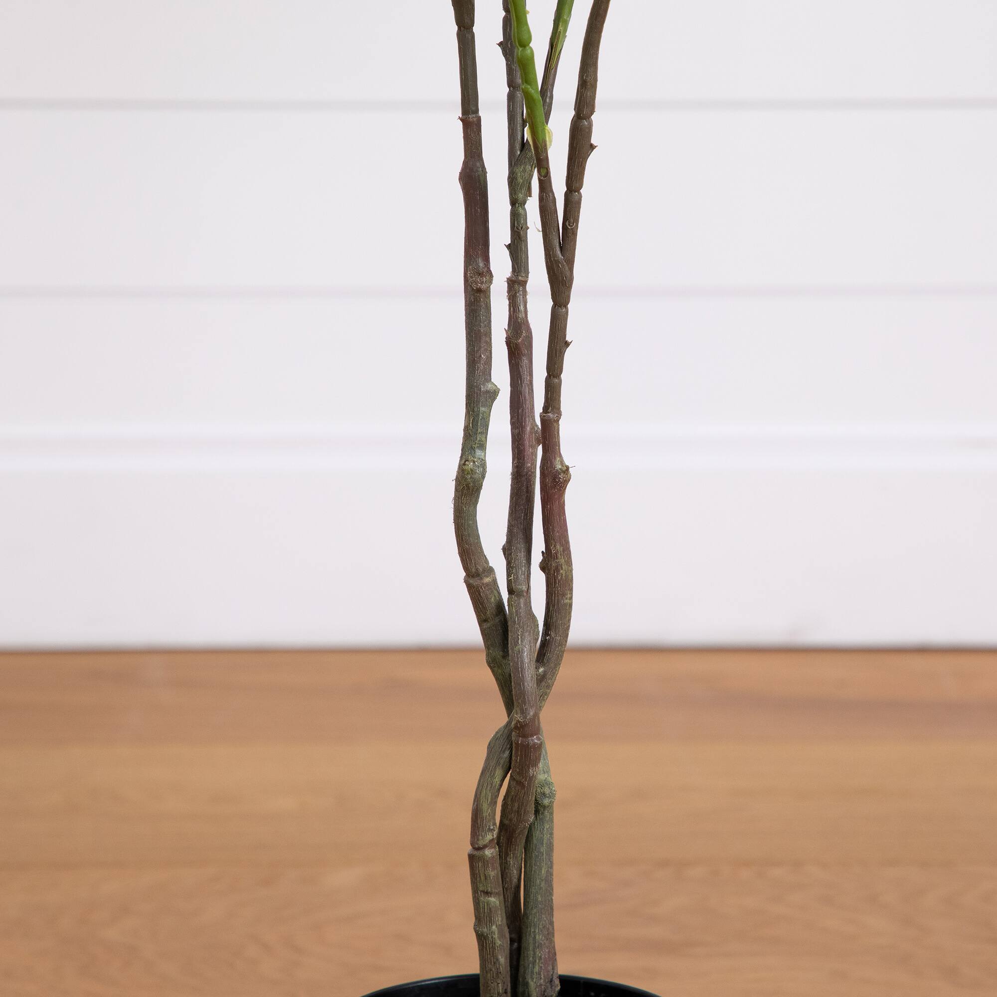 4ft. Pink Rose Tree in Black Pot